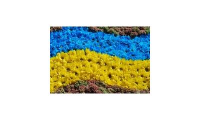 ВІТАЄМО!