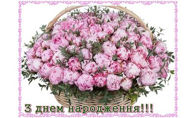 Колектив ННСГБ НААН вітає заступника директора з наукової роботи, к.і.н Татарчук Людмилу Михайлівну з Днем Народження!